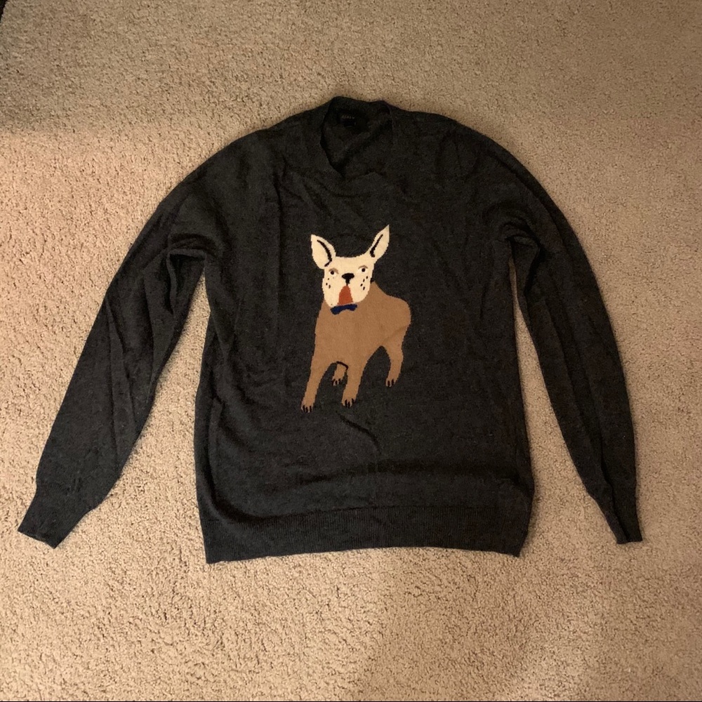 Dog 🐶 sweater so cute!!!
